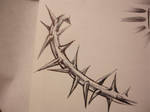 Thorn sketch