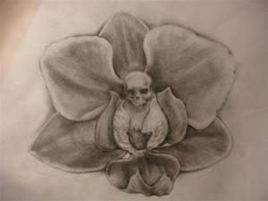 death orchid