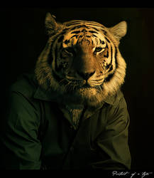 Portrait of a Tiger