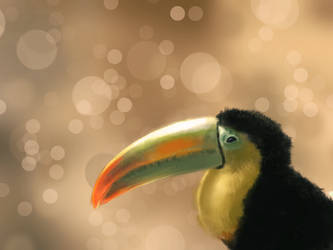 Toucan