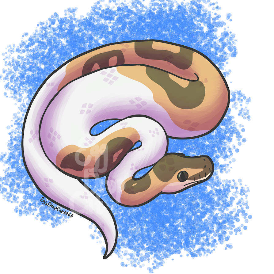 Pie Bald by EggDropCat on DeviantArt