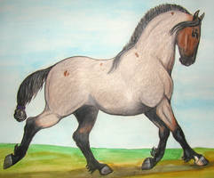 Roan Horse