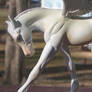 Frolicking Pegasus
