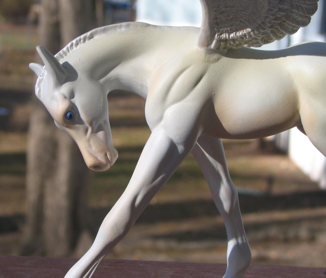 Frolicking Pegasus