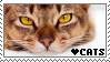 I love cats stamp