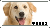 I love Dogs Stamp