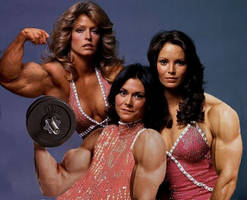 Arnold's Angels