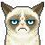 Grumpy Cat Icon