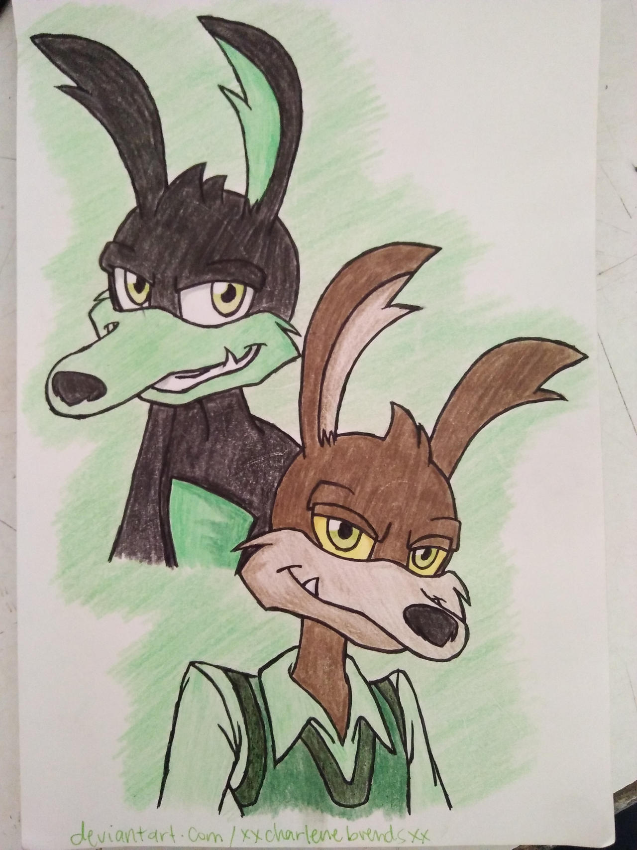 Tech E. Coyote by xXCharleneBrendsxX on DeviantArt