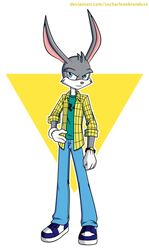 Ace Bunny - casual