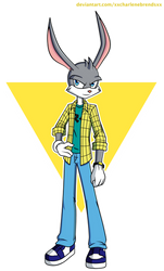 Ace Bunny - casual