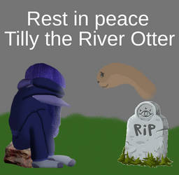 In Loving Memory of Tilly the River Otter