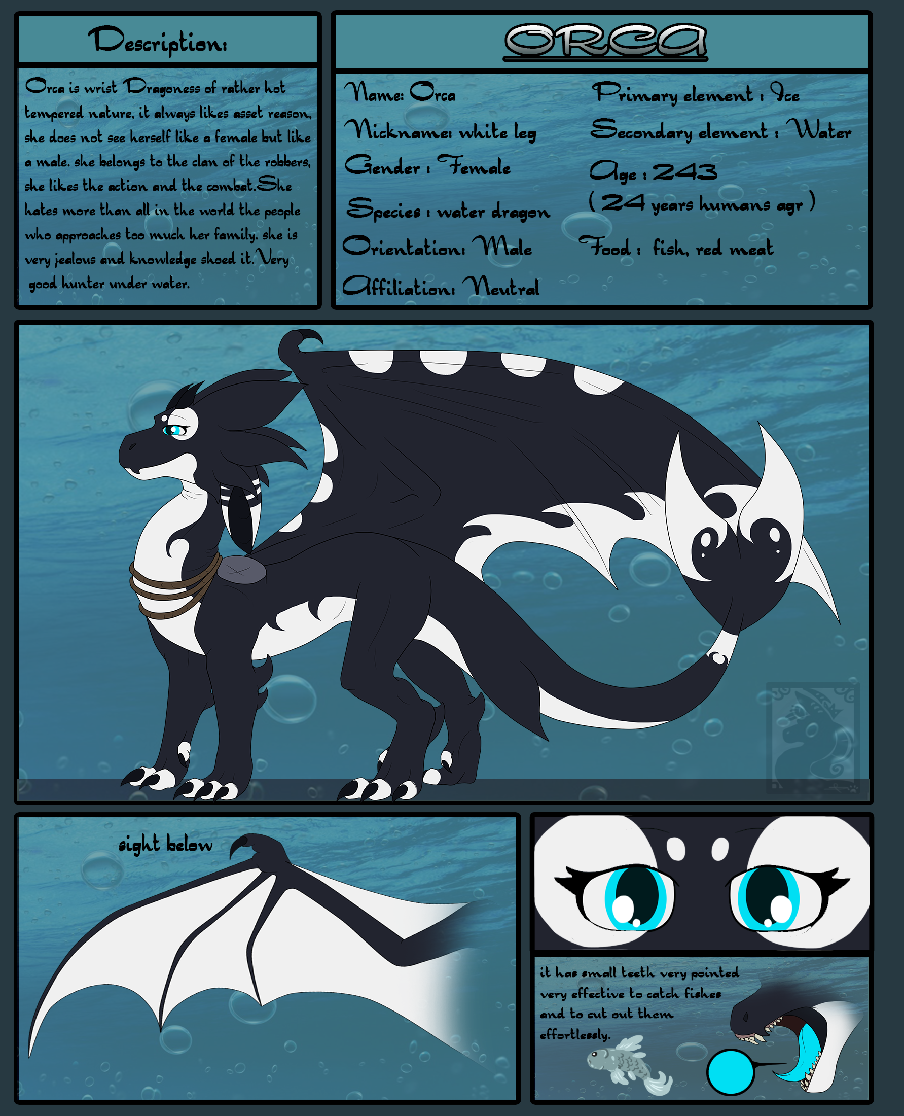 Ref Sheet Orca