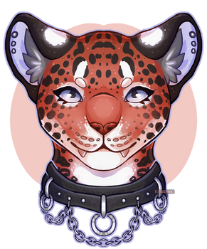 Felidae headshot