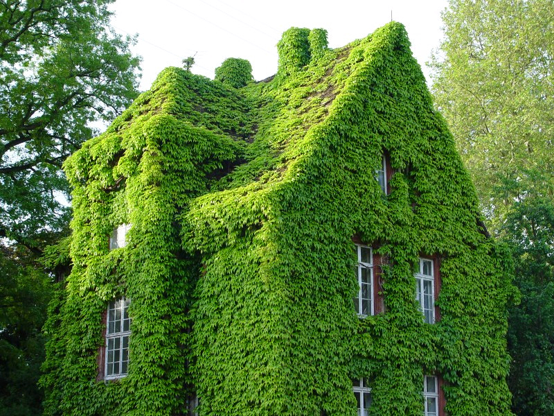 green house