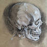 Skull Charcoal/Conte Sketch