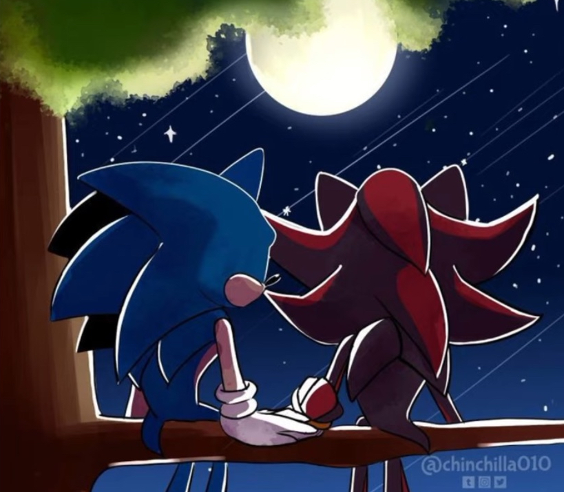 Sonic x Shadow by Mickeymonster on DeviantArt