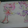 Amy Rose and Blaze The Cat :3