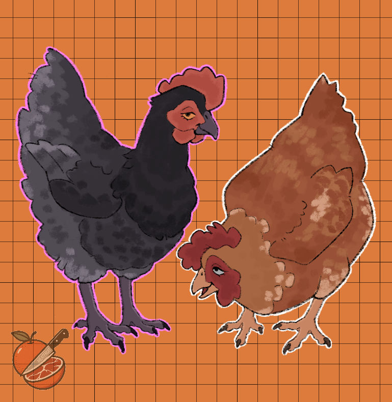 Chicken Deviantart Chicken Request by meatfruit on DeviantArt