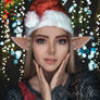 Christmas Elf