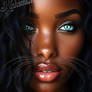 Purrfect Look