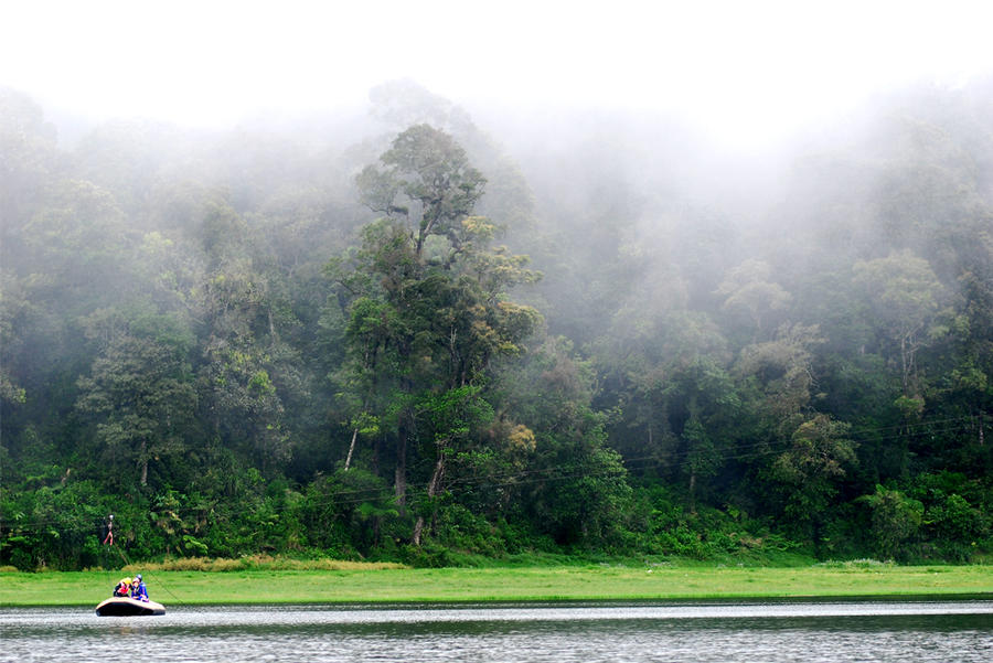 Kabut Patenggang