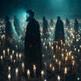 The Candlefields II