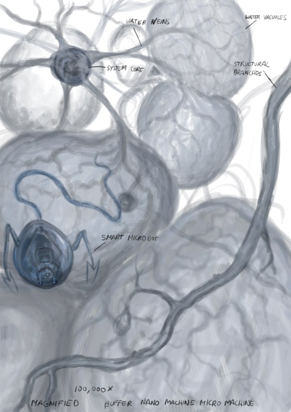 buffer field magnified