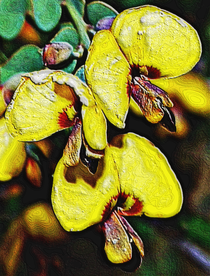 Yellow Flowers