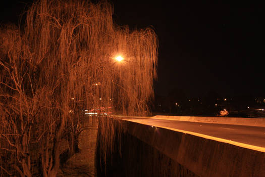 The Golden Bridge