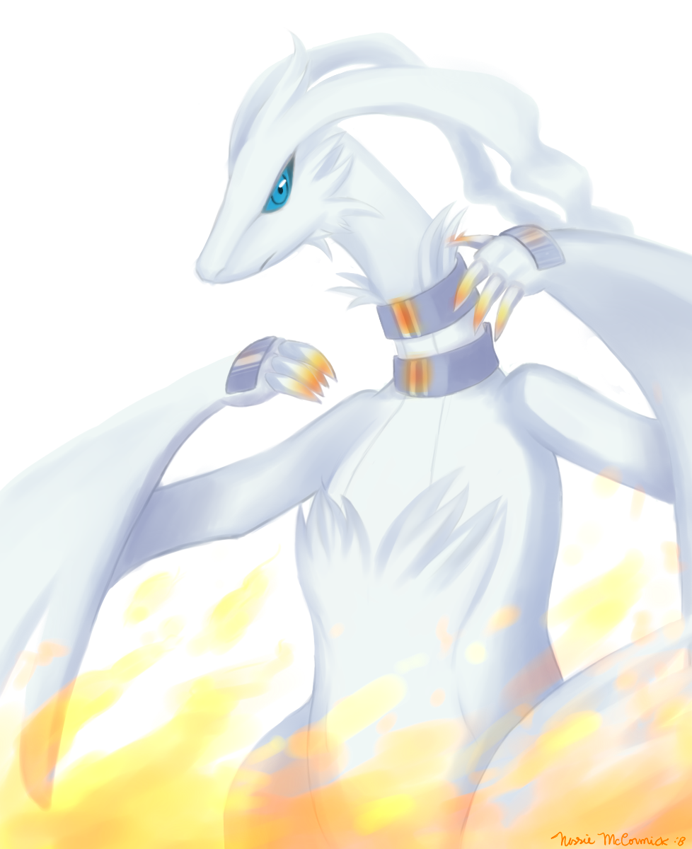 The white dragon of truth Reshiram