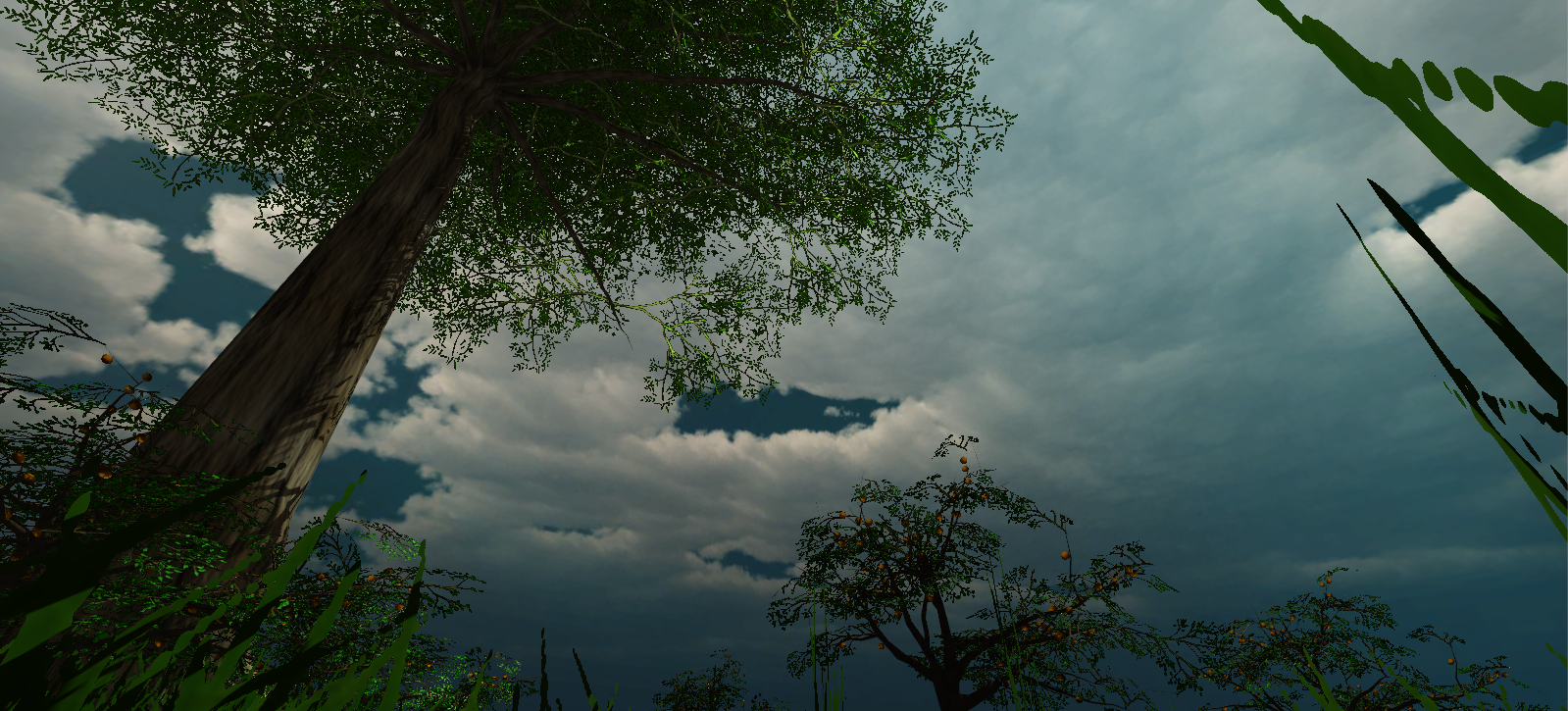 Skyward View