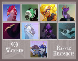 900 Watcher Raffle Headshot Prizes