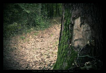 The lonely soldier by bittersweetvenom