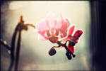 54. :Closer to the light: by bittersweetvenom