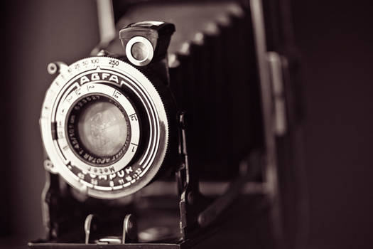 133. :The Camera: