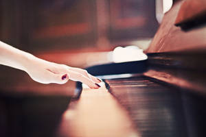 211. :Pulse: