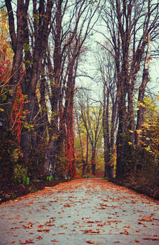 That walk..
