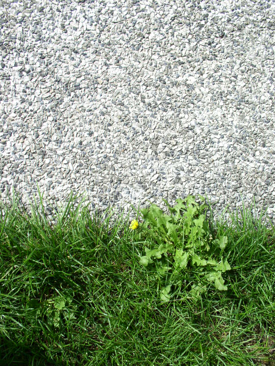 Grass and Stone