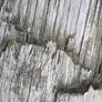 Texture - Wood 25