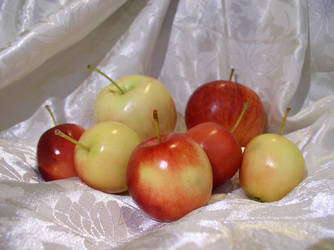 Fruit Composition 33