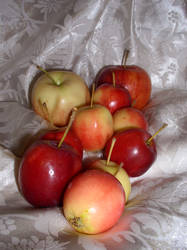 Fruit Composition 35