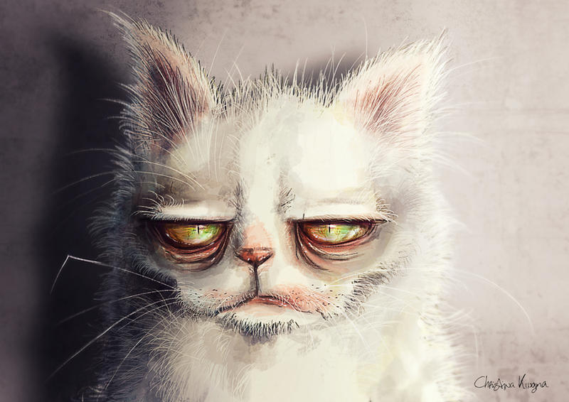 Grumpy Pus Grumpy Pluis by ChristinaKingma on DeviantArt