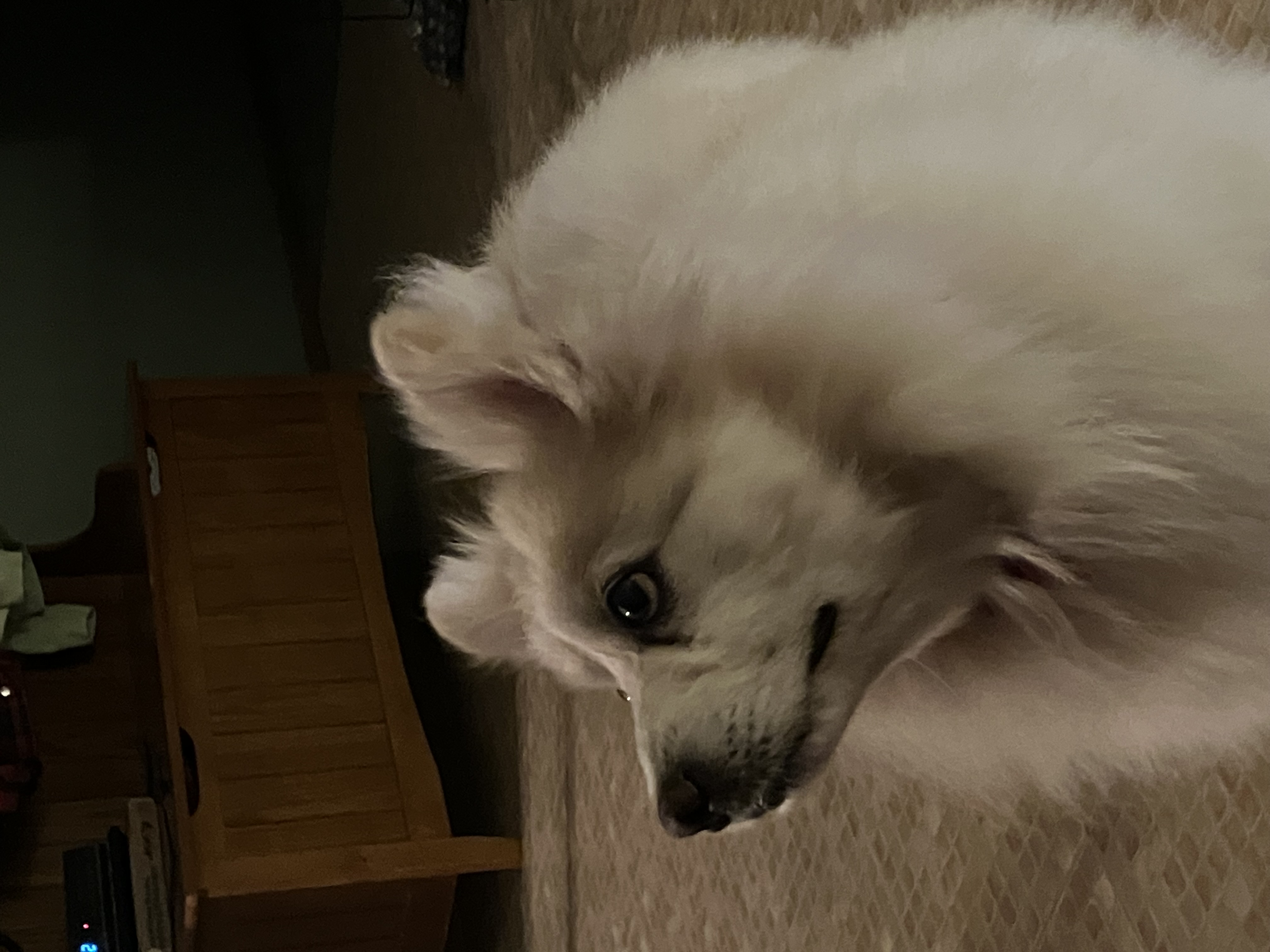 Please father, can I have some?