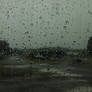 Rain on the Windows