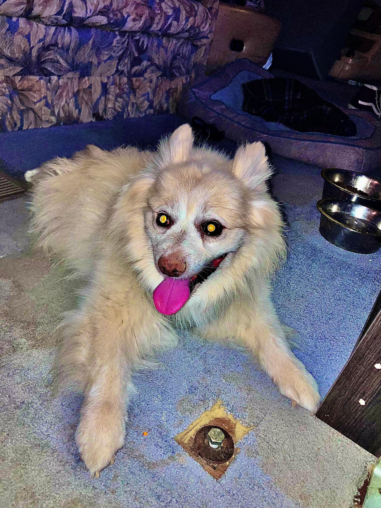 Hot and Happy After a Walk