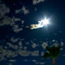 Palm Illuminated by a natural lens flare