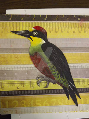 Woodpecker a work in progress