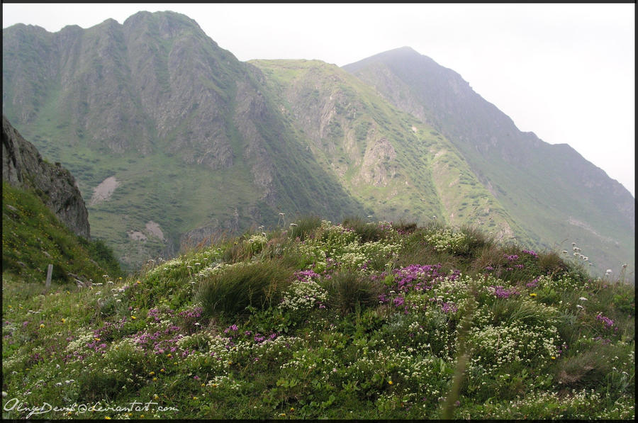 Background Stock 10 by OlnyDevil on DeviantArt