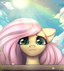 Fluttershy